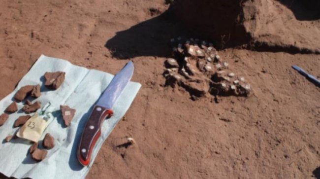 На Хортиці знайшли могилу скіфського воїна, якій 2,5 тисячі років