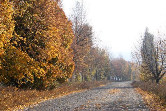 Осінні пейзажі Волинської височини: неймовірні фото