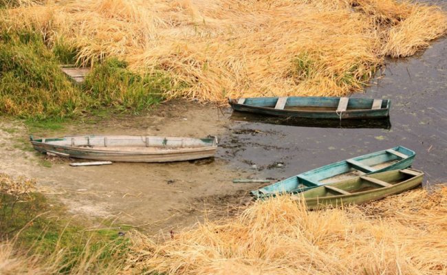 Осінні пейзажі Волинської височини: неймовірні фото