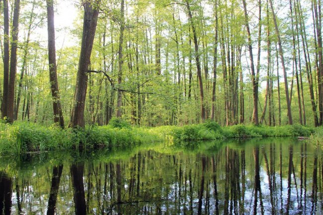 Волинський фотограф показав красу «високої води» річки Стохід. ФОТО