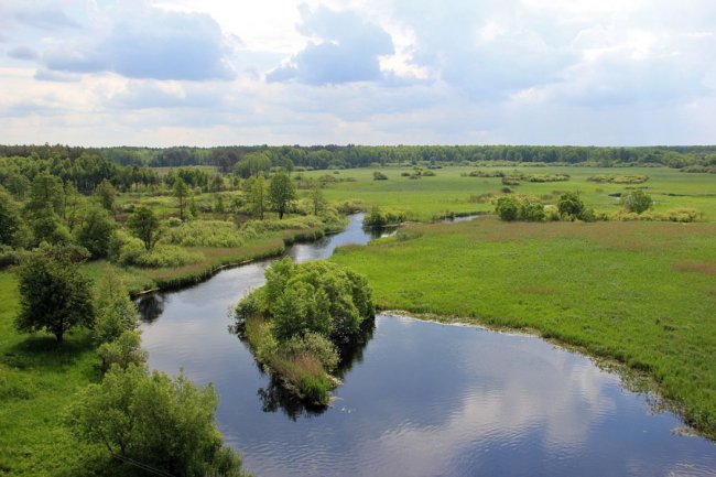 Волинський фотограф показав красу «високої води» річки Стохід. ФОТО