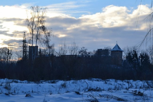 Зимовий спокій центрального парку Луцька. ФОТО
