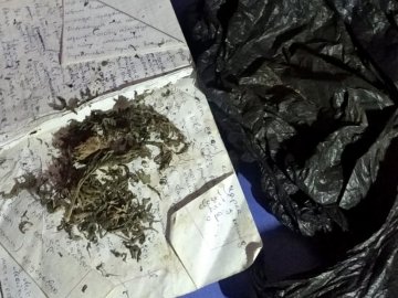 19-річного волинянина, підозрюваного у торгівлі канабісом, взяли під варту. ФОТО