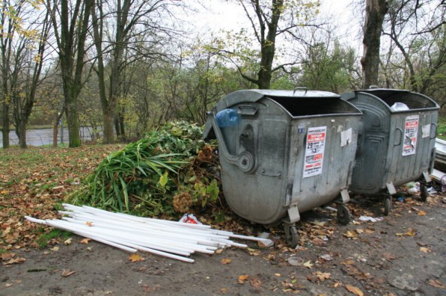 За декілька місяців лучани здали 450 люмінесцентних ламп та майже 40 термометрів