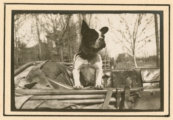 Україна 1918 року «очима» німців. ФОТО