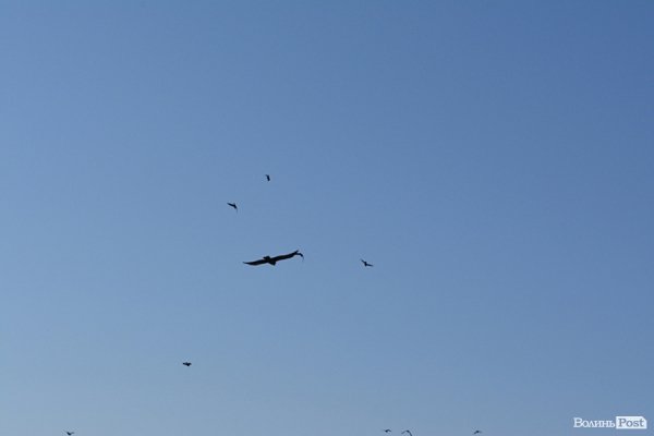 Як виглядає перинатальний центр Волині через недофінансування. ФОТО