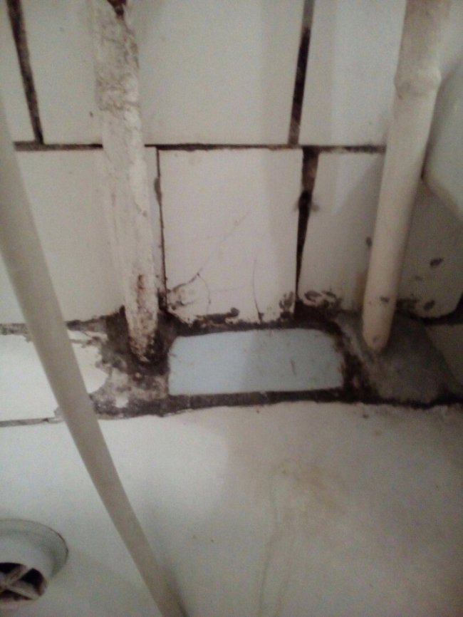 Сморід та дірки у стінах: у мережу виклали жахливі фото із готелю у Ковелі 