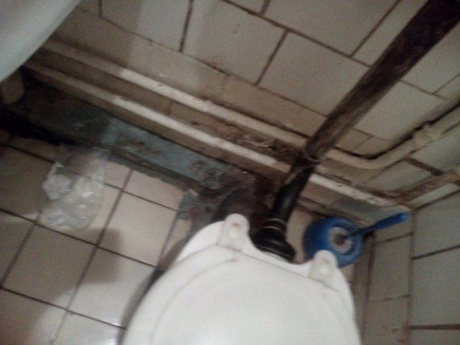 Сморід та дірки у стінах: у мережу виклали жахливі фото із готелю у Ковелі 