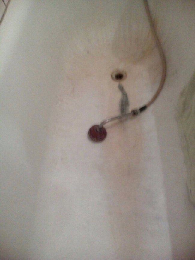 Сморід та дірки у стінах: у мережу виклали жахливі фото із готелю у Ковелі 