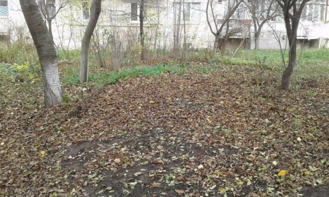 Луцькі муніципали  «борються» з незаконними огорожами