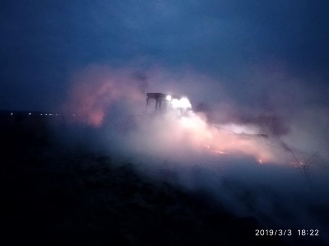 На Ківерцівщині люди спалили молодий ліс. ФОТО