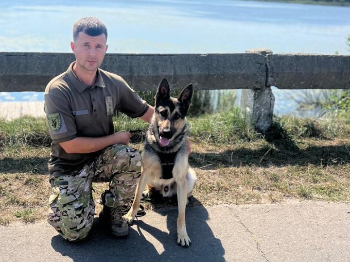 «Загубилась мама»: на Волині вівчарка знайшла зниклу жінку