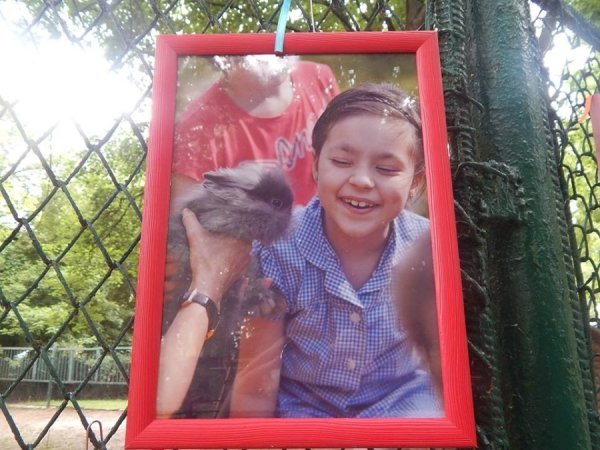 У луцькому зоокуточку − фотовиставка. ФОТО