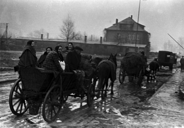 Унікальні фото звільнення табору Аушвіц