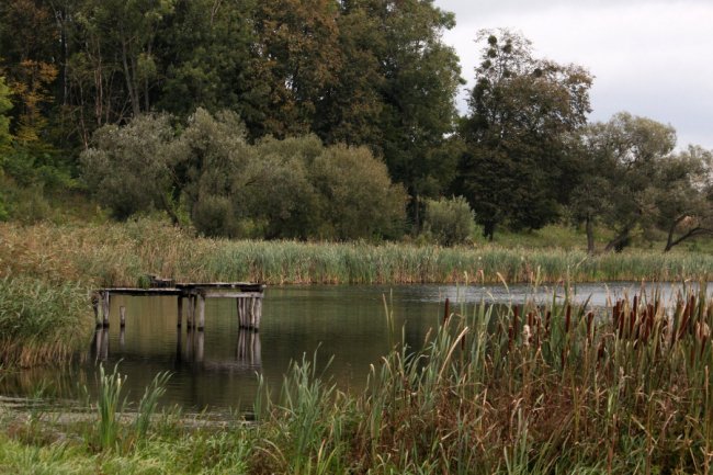 Давно забутий Трохимбрід на світлинах волинського фотографа