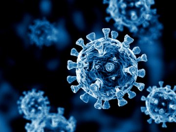 На Волині посадовець і його підлеглі наживалися на коронавірусі