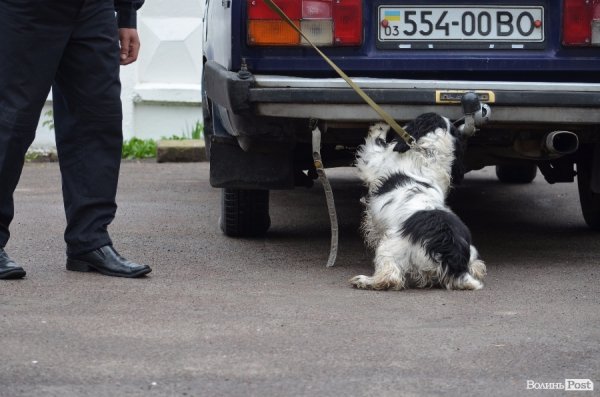 Як живуть та тренуються службові собаки. ФОТО