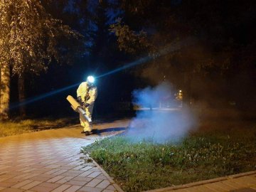 Луцькі парки оброблять від кліщів і комарів