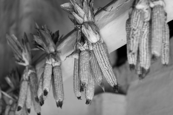 Фотовиставка Анни Лучії Лобос