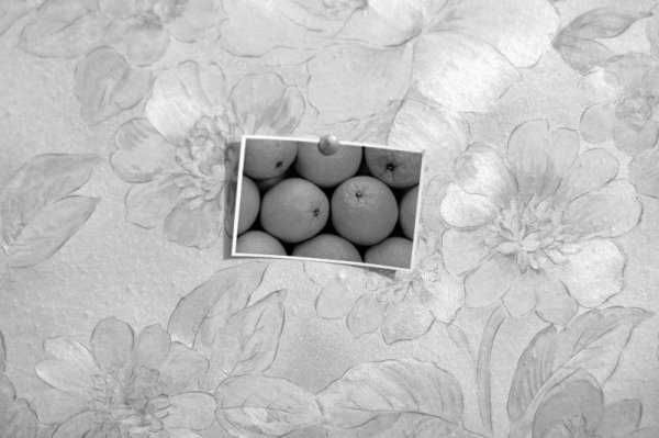 Фотовиставка Анни Лучії Лобос