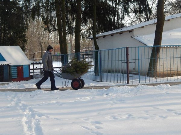 Зима в Луцькому зоопарку. ФОТО