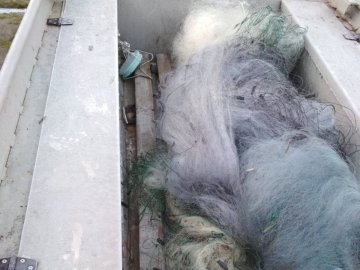 На Волині браконьєри втекли, залишивши рибу в сітках. ФОТО