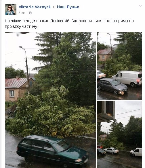 Буря в Луцьку: повалені дерева та величезні калюжі. ФОТО. ВІДЕО