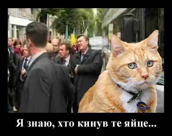 Бабуся і кіт: фотожабоманія триває. ФОТО