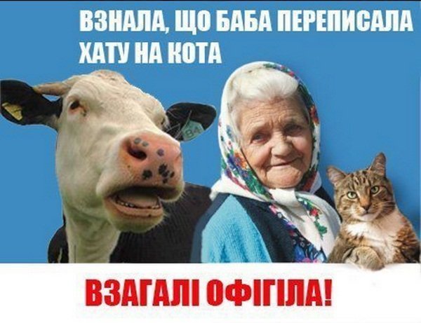 Бабуся і кіт: фотожабоманія триває. ФОТО