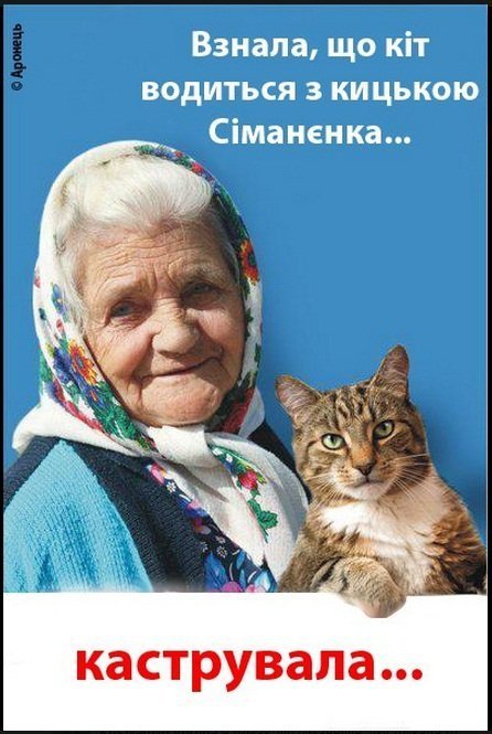 Бабуся і кіт: фотожабоманія триває. ФОТО