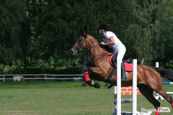 Красуні-вершниці і козаки-екстремали: у Луцьку пройшли кінно-спортивні змагання. ФОТО