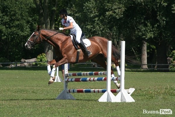 Красуні-вершниці і козаки-екстремали: у Луцьку пройшли кінно-спортивні змагання. ФОТО