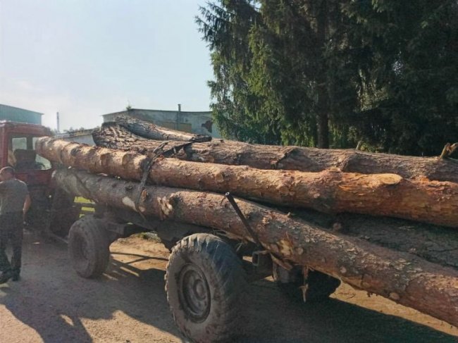 На Волині крадіжки лісу завершилися  криміналом та травматизмом.ФОТО