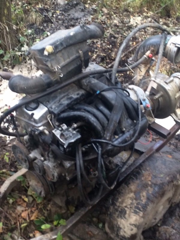 Волиняни продовжують активно займатися пошуками бурштину. ФОТО