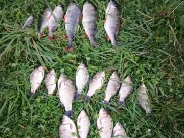 На території волинського заказника зловили браконьєрів. ФОТО