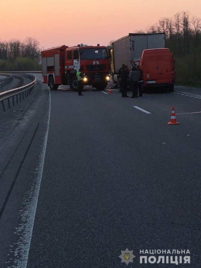 До аварії на Житомирщині, у якій загинув поліцейський з Волині, призвела поява лося на трасі. ФОТО