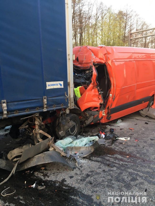 До аварії на Житомирщині, у якій загинув поліцейський з Волині, призвела поява лося на трасі. ФОТО