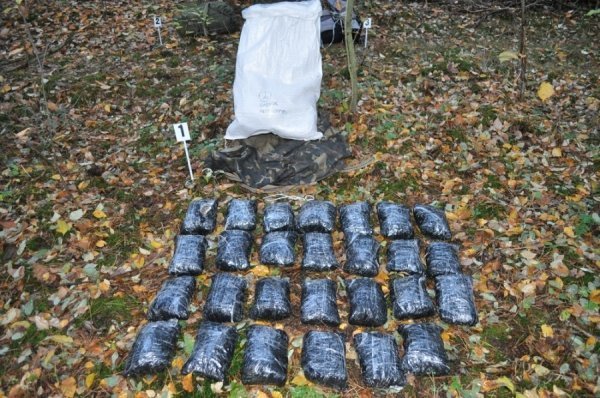 Поляки затримали велику партію бурштину, яку «проспали» на Волині