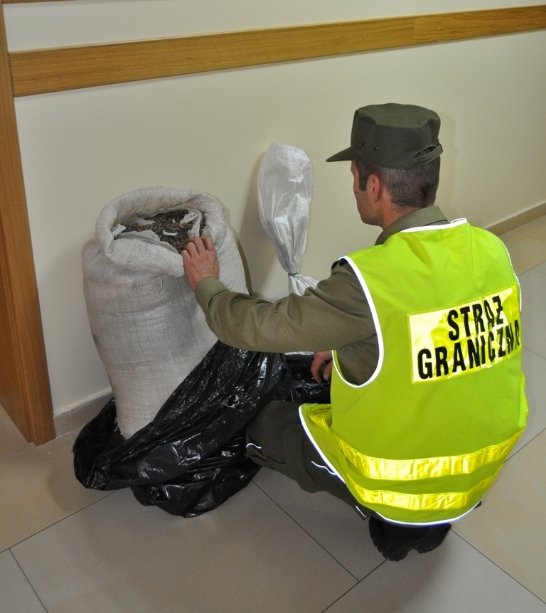 Поляки затримали велику партію бурштину, яку «проспали» на Волині