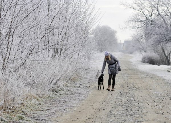 Волинь в льодяному тумані. ФОТО