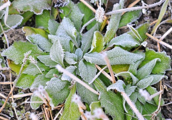 Волинь в льодяному тумані. ФОТО