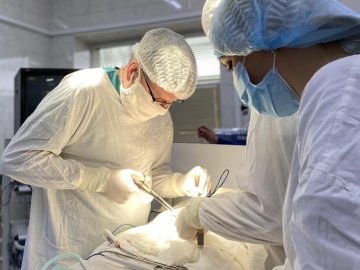 Лікарі видалили волинянину величезний камінь із сечового міхура. ФОТО