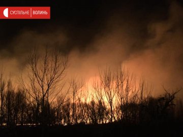У Луцьку – масштабна пожежа: горить луг. ВІДЕО 