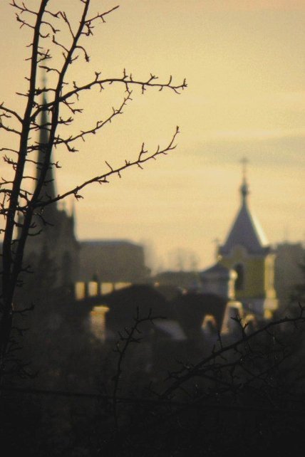 Вечір з кухонного вікна. Фото: Ромек Павлюк