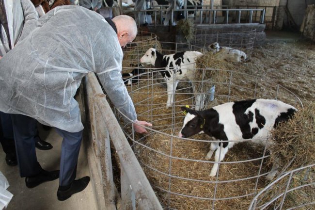 На Волині відкрили сучасний молочний комплекс. ФОТО