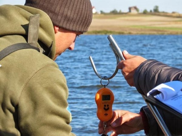 Лучани зловили 13-кілограмового коропа. ФОТО