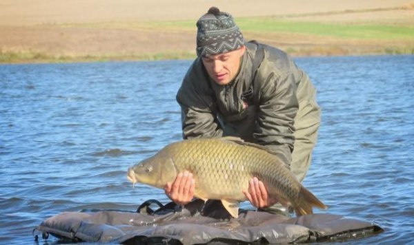 Лучани зловили 13-кілограмового коропа. ФОТО
