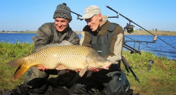 Лучани зловили 13-кілограмового коропа. ФОТО