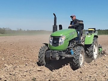 На Волині під овочеві культури відведено 13 тисяч гектарів земель. Більшість площ — домашні господарства