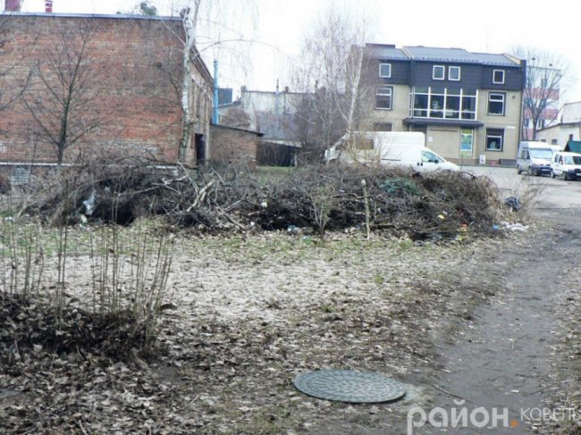 Сміття, мотлох і хащі: ковельський депутат просить прибрати «лице міста». ФОТО